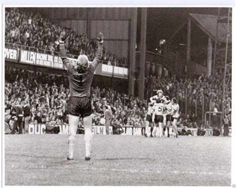 Wolves V Qpr Paul Bradshaw Celebrates Kenny Hibbitts Last