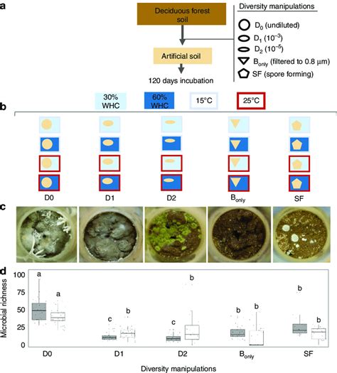 Experimental design for manipulation of microbial diversity. The ...