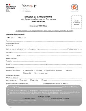 Fillable Online Dossier De Candidature Aux Preuves D Entre Ifce