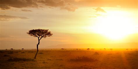 Teach Kids About Africa as if Our Lives Depend Upon It -- and Maybe ...