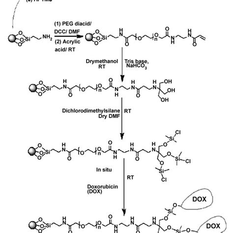 Scheme 1 Schematic Representation For The Synthesis Of Download