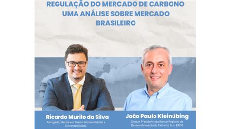 An Lise Sobre O Mercado De Carbono Brasileiro