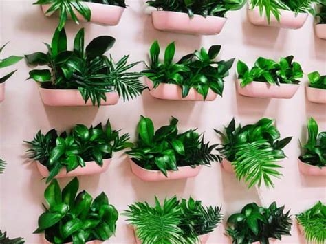 Decora O Plantas Artificiais Na Parede Dicas