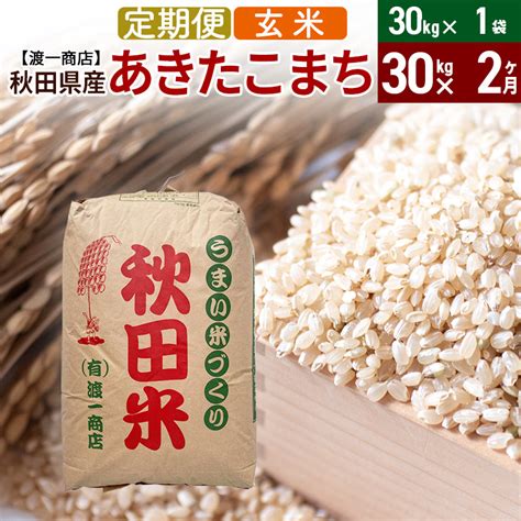 【楽天市場】【ふるさと納税】《定期便2ヶ月》 あきたこまち 玄米 30kg（30kg×1袋） 秋田県産 令和5年産：秋田県三種町