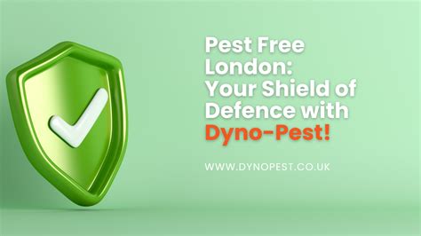 Dyno Pest Your Trusted Partner For Effective Pest Control Solutions In