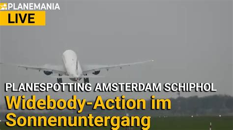 Planespotting Live Widebody Action Im Sonnenuntergang Auf Der