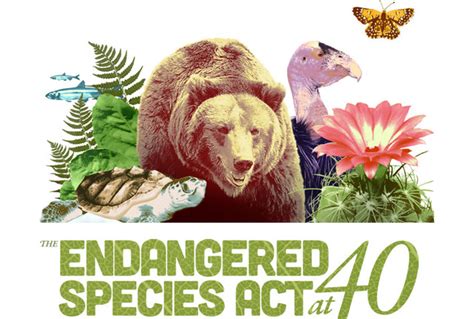 History of Endangered Species Act timeline | Timetoast timelines