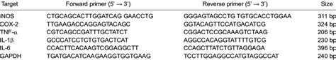 Primers Used In Rt Pcr Experiments Download Scientific Diagram