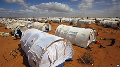 116 Somali refugees return from Kenya with UNHCR help