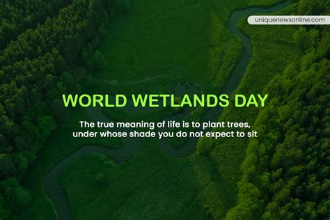 World Wetlands Day 2023 Theme, Drawings, Posters, Images, Quotes ...