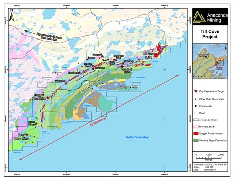 Tilt Cove Geological Map Junior Stock Review