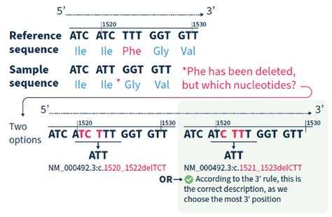 Understand The Hgvs Nomenclature A Comprehensive Guide Sophia Genetics