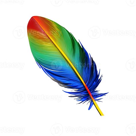 Colorful Bird Feather 21357770 Png