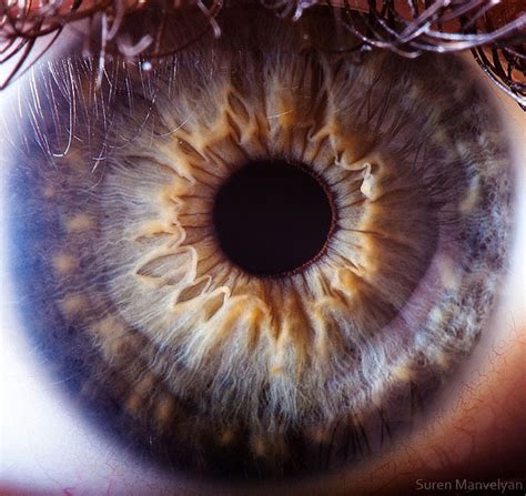 16 Extremely Detailed Closeups Of The Human Eye