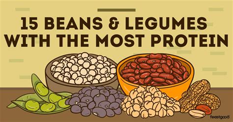 15 Beans & Legumes With The Most Protein (Complete List) - FeastGood.com