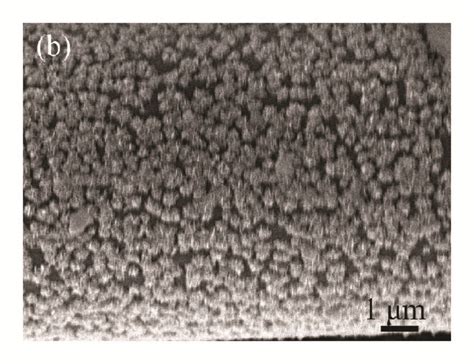 Direct Synthesis Of Mno Nanorods On Carbon Cloth As Flexible