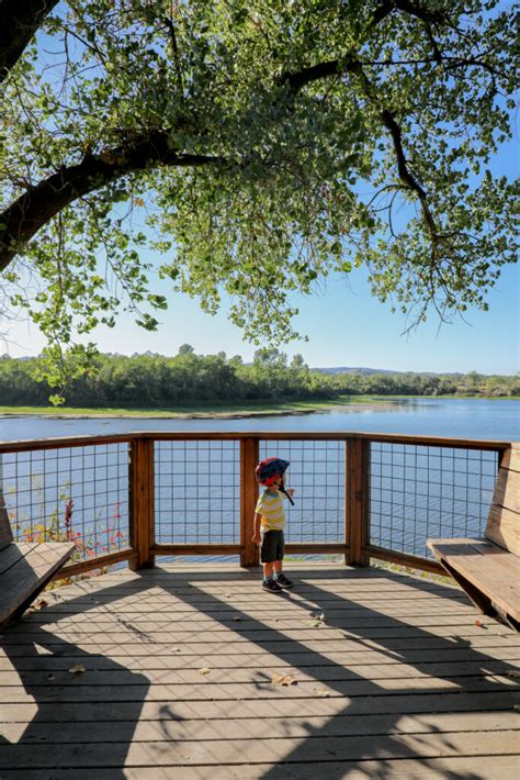 Hiking Trail at Riverfront Regional Park in Healdsburg, CA - Elle & Pear