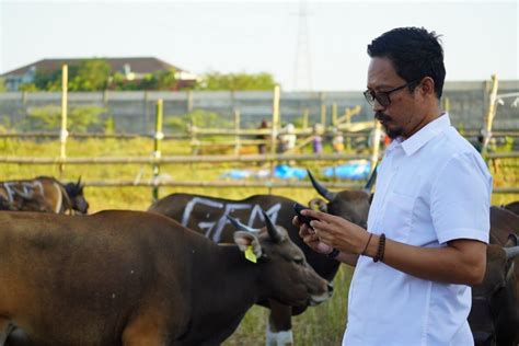 RPH Antang Pastikan Ketersediaan Stok Dan Kesehatan Hewan Kurban