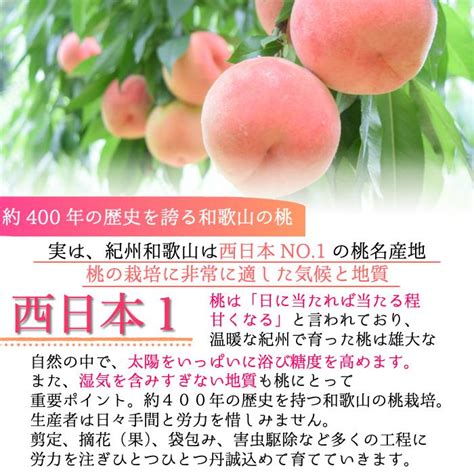 あら川の桃 特選中玉【赤秀品】約4kg 中玉 15玉入り 【クール冷蔵便 送料無料】 和歌山県産 もも 桃 和歌山 あら川 糖度 ギフト 贈答