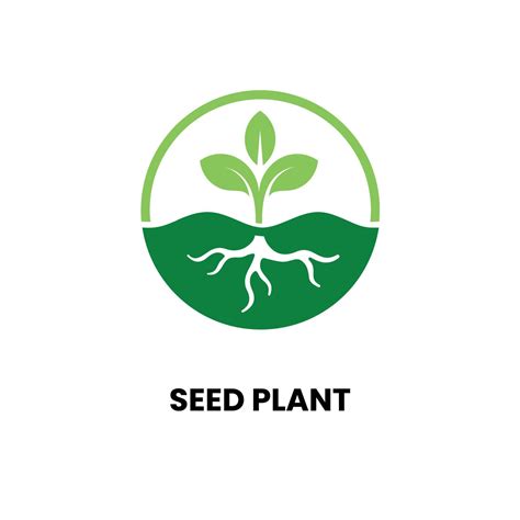 Vector Plant Seed Logo Design Vector Illustration Vector Art