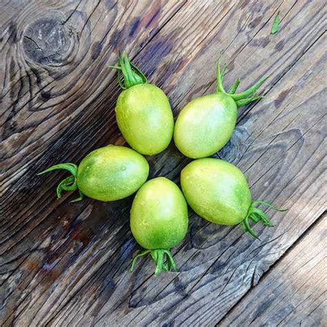 Emerald Pear Tomato Meraki Seeds