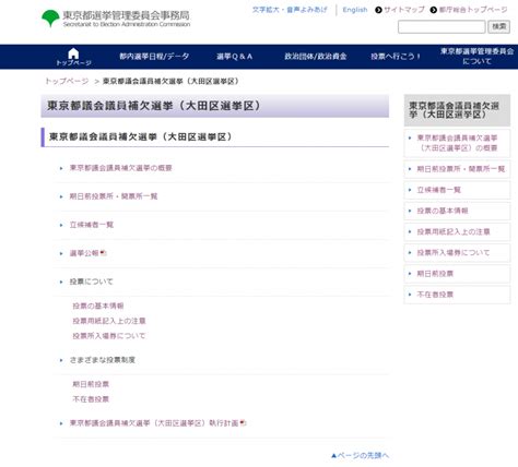 進捗状況（2023年4～6月）有権者のメディア活用の変化に対応した選挙啓発プロジェクト【選挙管理委員会事務局】 シン・トセイ