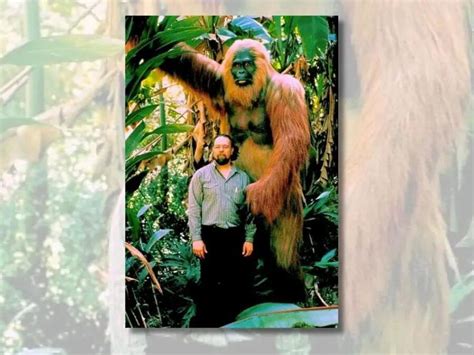 Fact Check Does Viral Pic Show Gigantopithecus The Largest Ape Known