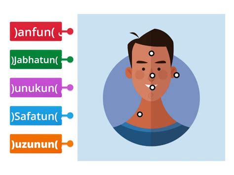 Anggota Tubuh Bagian Kepala Diagrama Con Etiquetas