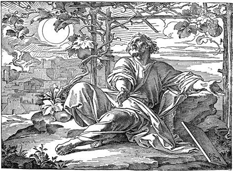Jonah Sheltered By The Vine Clipart Etc