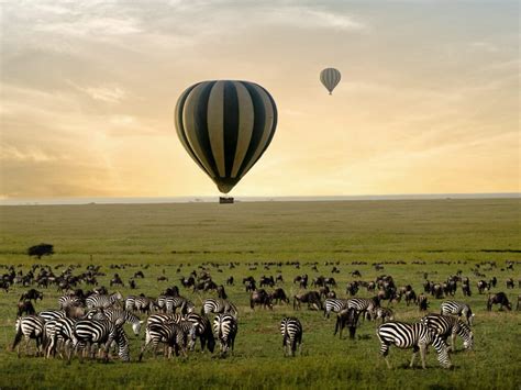 Best Hot Air Balloon Safaris In Africa Rates Cost 2025 2026