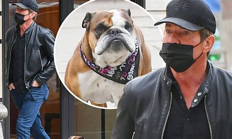 Dennis Quaid 67 Takes Dog Peaches For A Solo Walk In Nyc Without