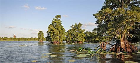 Sheldon Lake State Park & Environmental Learning Center — Texas Parks & Wildlife Department