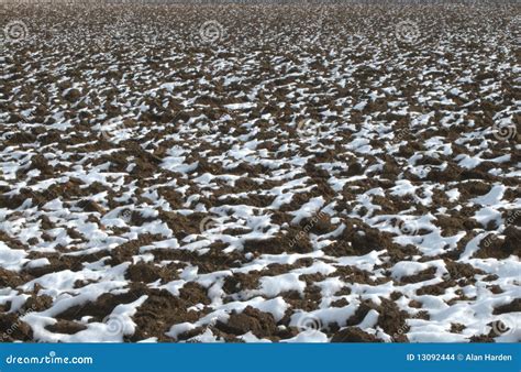 Snow On A Ploughed Field Stock Photo Image Of Backdrop 13092444