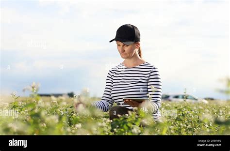 Female Agronomist With Tablet Check The Growth Of A Field With