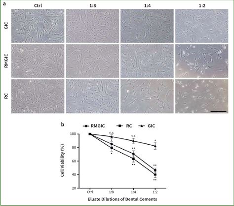 Figure From Comparison Of Cytotoxicity And Genotoxicity In Three