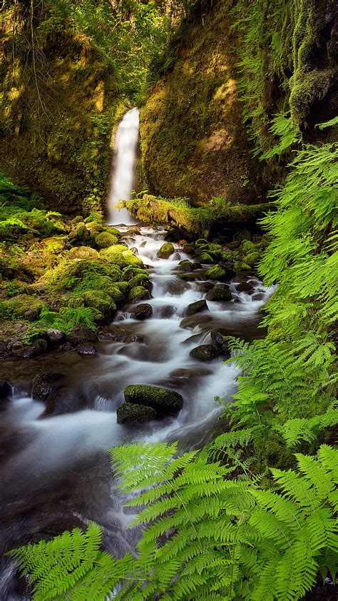 Online crop | HD wallpaper: creeks, landscape, vertical | Wallpaper Flare