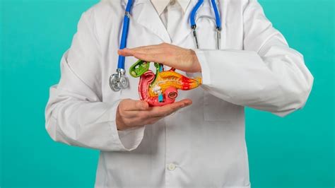 Medico Que Cuida Do Pâncreas - Médico masculino com um estetoscópio está segurando o pâncreas nas mãos ...