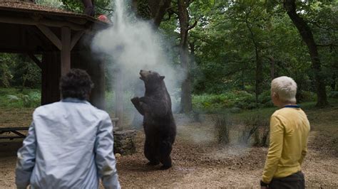 O Urso Do P Branco N O Abra A Absurdo Prometido E Foca Em Dramas