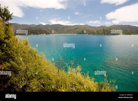 Abel Tasman national park, New Zealand Stock Photo - Alamy