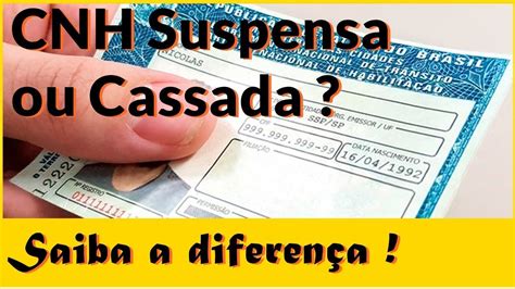 Suspensão E Cassação Do Direito De Dirigir Youtube