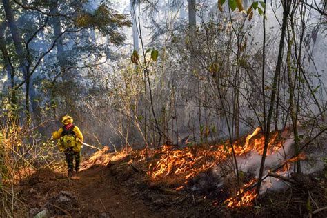 Más Del 90 De Incendios Son Provocados Expertos Punto Por Punto