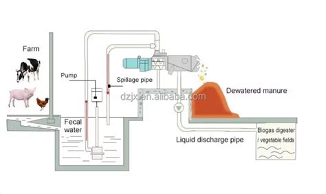 Dzjx Sludge Cow Dung Dewatering Filter Press Cleaning And Pallet Making