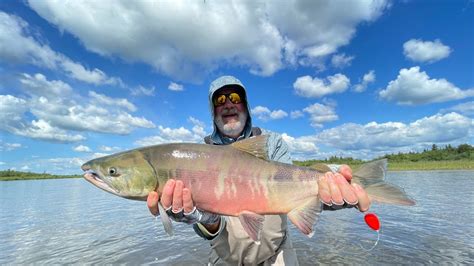 Angler S Alibi Alaska Alaska Fly Out