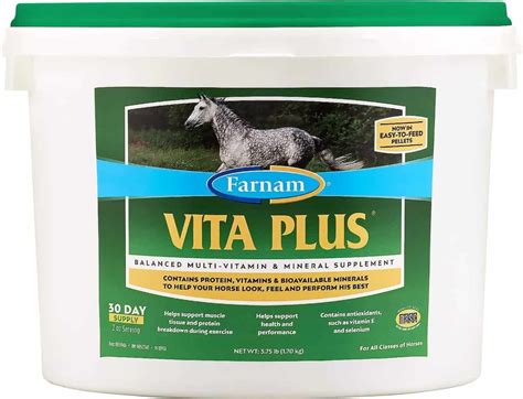 Best Horse Supplements to Consider: Ensuring Continued Health for Your Horse