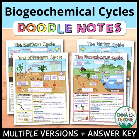 Biogeochemical Cycles Doodle Notes Worksheets Library