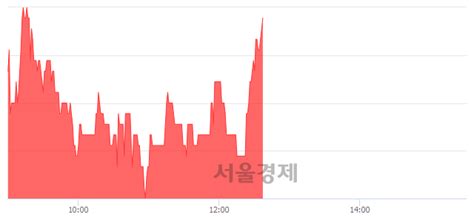 에스와이패널 375 오르며 체결강도 강세로 반전101 서울경제