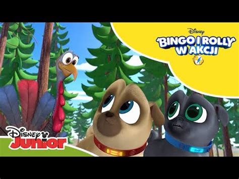 Na Tropie Indyka Bingo I Rolly W Akcji Disney Junior Polska