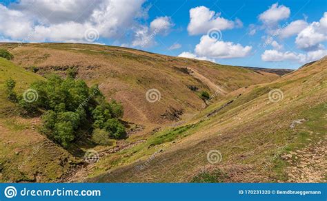 Gunnerside Gill North Yorkshire England Stock Photo Image Of