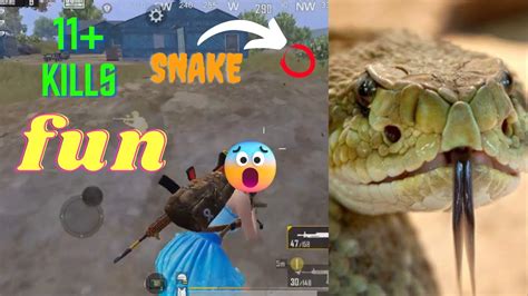 Bgmi Snakes 😱😱😱 Is Danger 11 Kills In Bgmi Dp Power Youtube