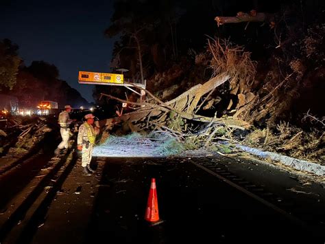 Rbol Bloquea Carriles De La Autopista M Xico Cuernavaca Arturo Ortiz